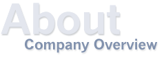 Company Overview