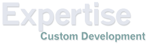 Custom Development