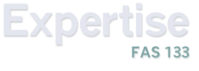 FAS 133